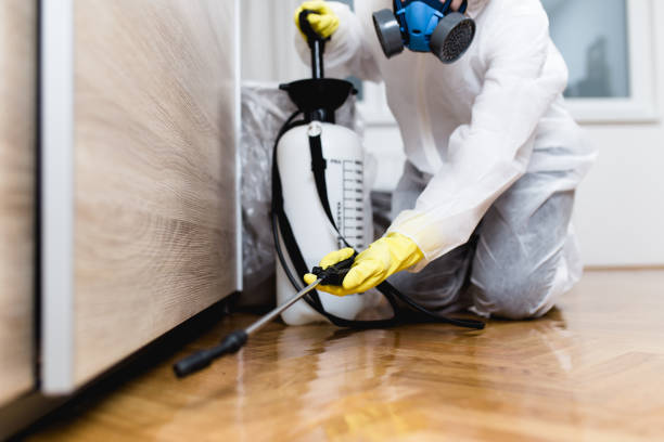 Best Residential Pest Control  in Lula, GA