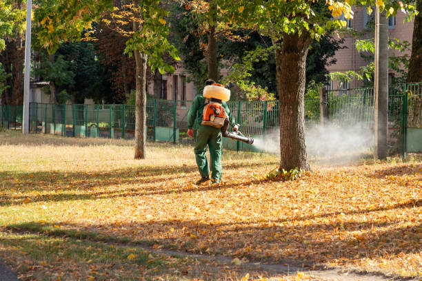 Best Wildlife Control Services  in Lula, GA