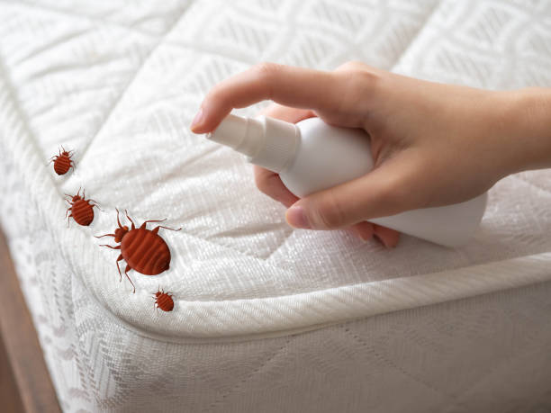 Flea Control Services in Lula, GA