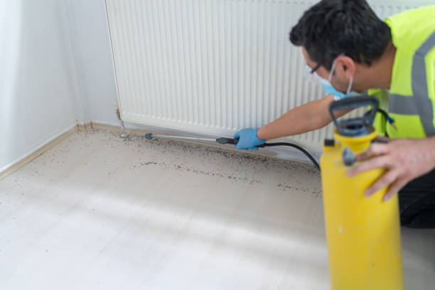 Best Affordable Pest Control Services  in Lula, GA